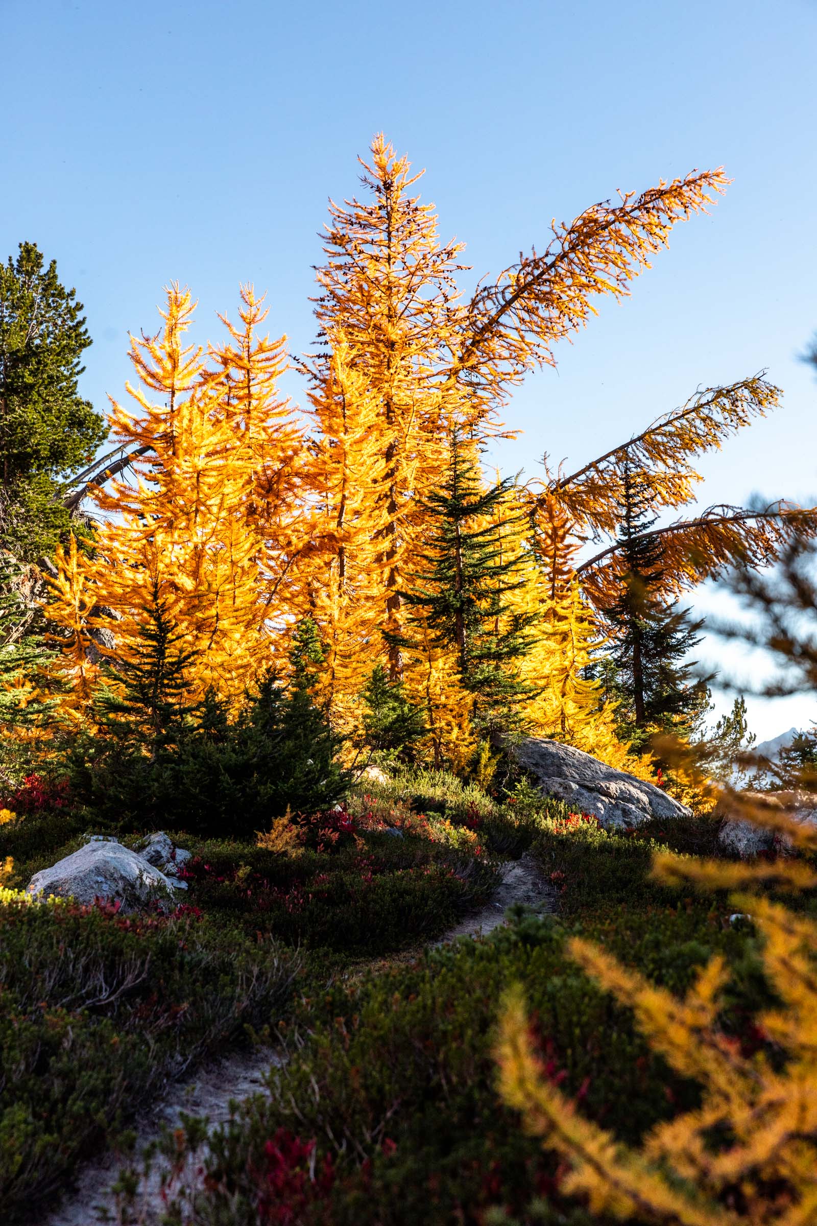painting the hills | rainbow ridge high route backpacking - alpine ...
