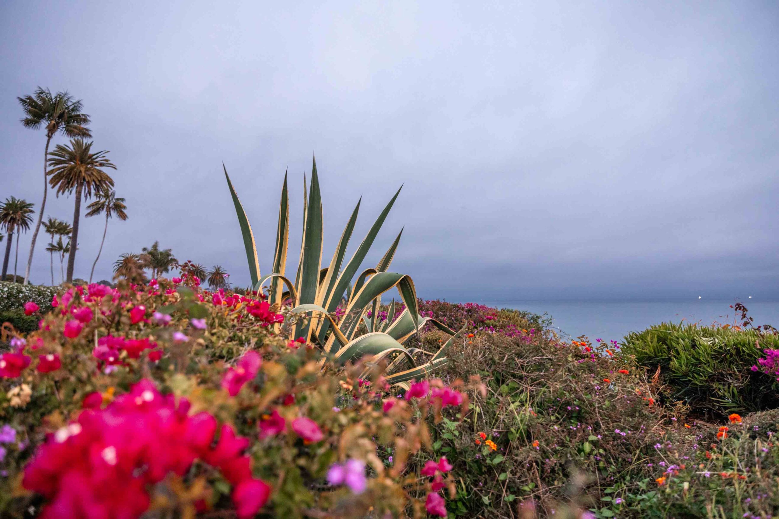 pools + ocean | a weekend in santa barbara - alpine wanderlust
