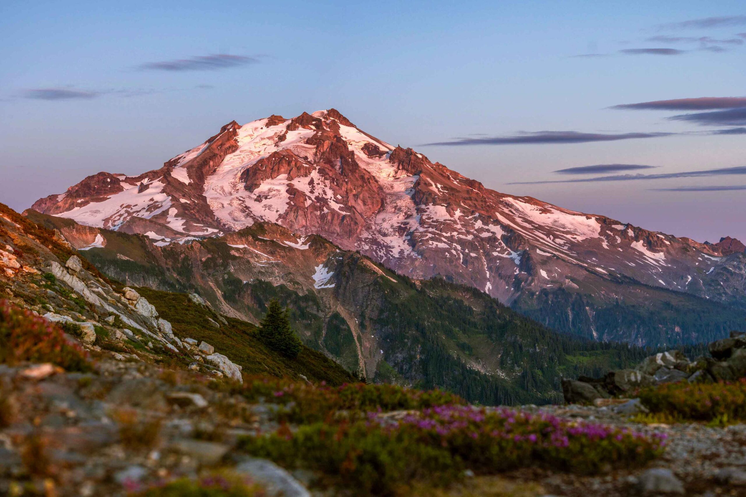 getting lost in the meadows | lost creek ridge - meadow mountain